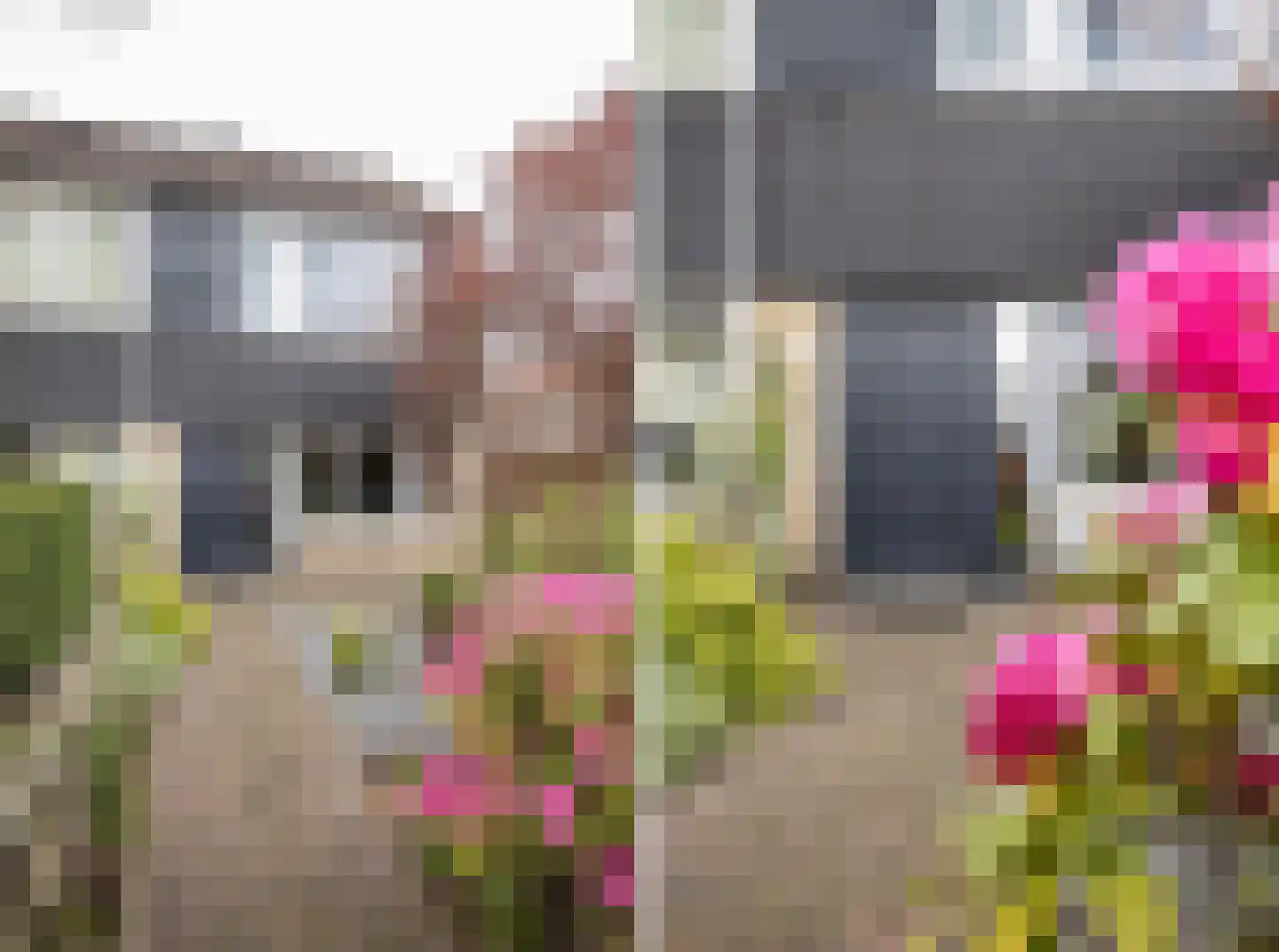 Beatrixstraat 18 Almelo thumbnail 6