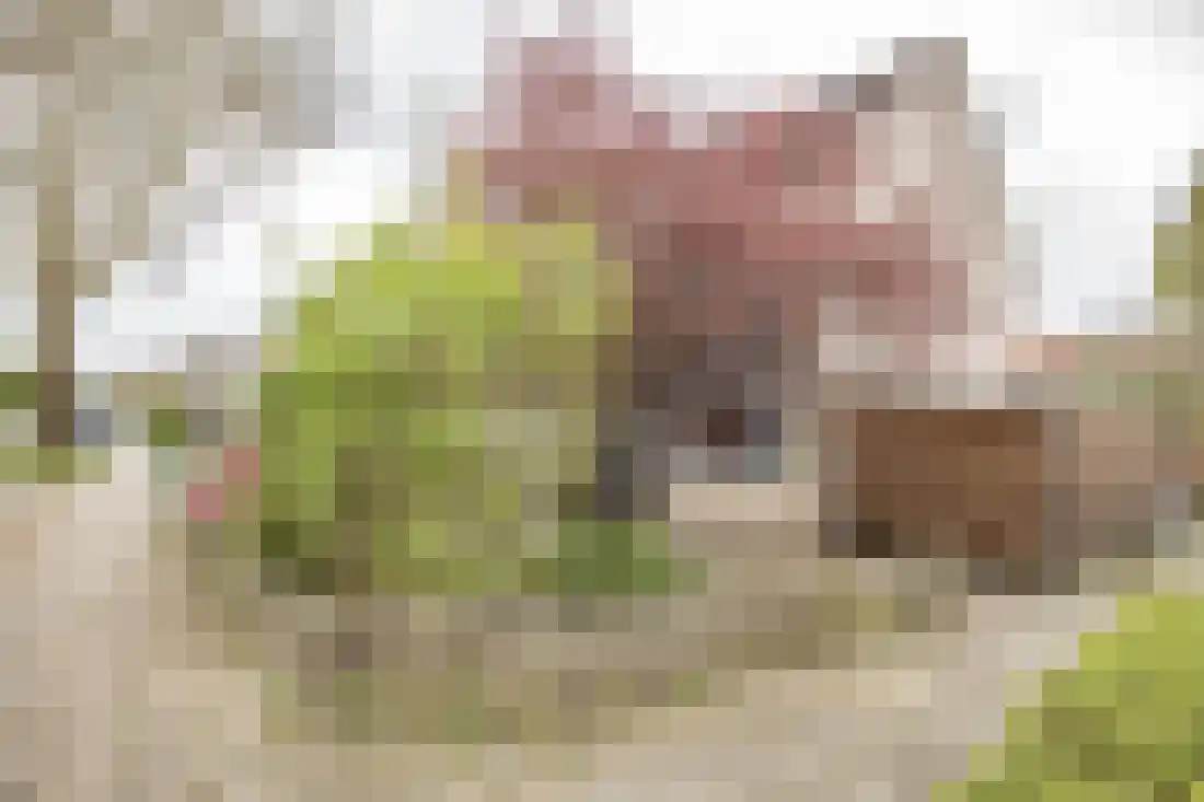 Beatrixstraat 18 Almelo thumbnail 7