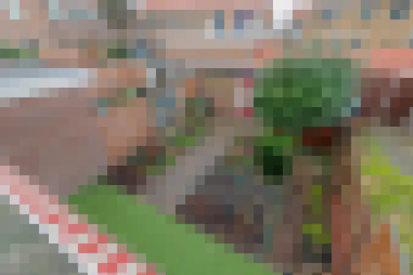 Beatrixstraat 18 Poeldijk thumbnail 16