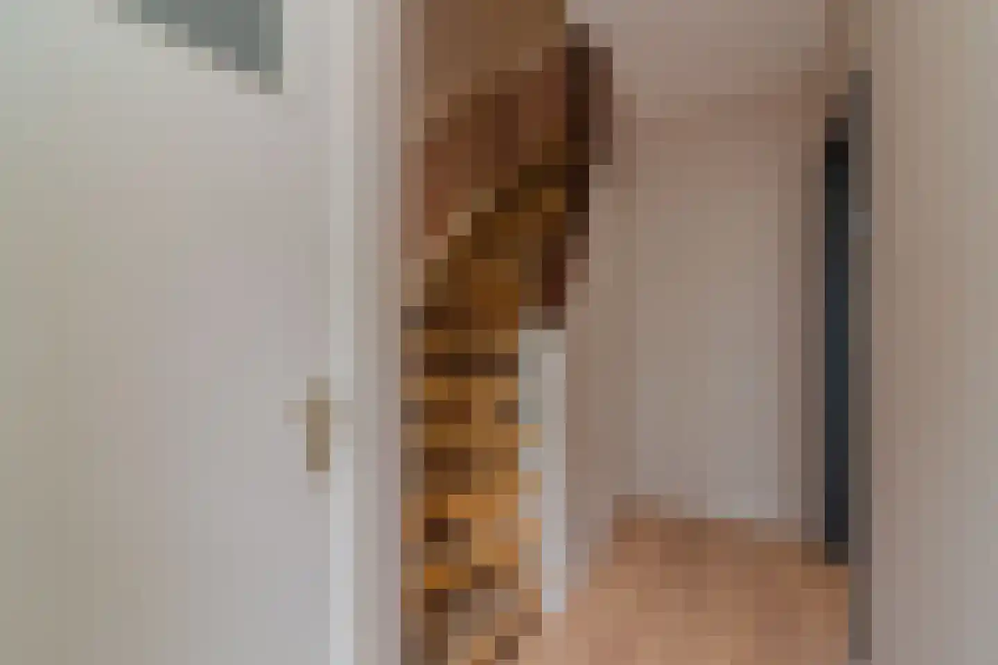 Beatrixstraat 18 Poeldijk thumbnail 7