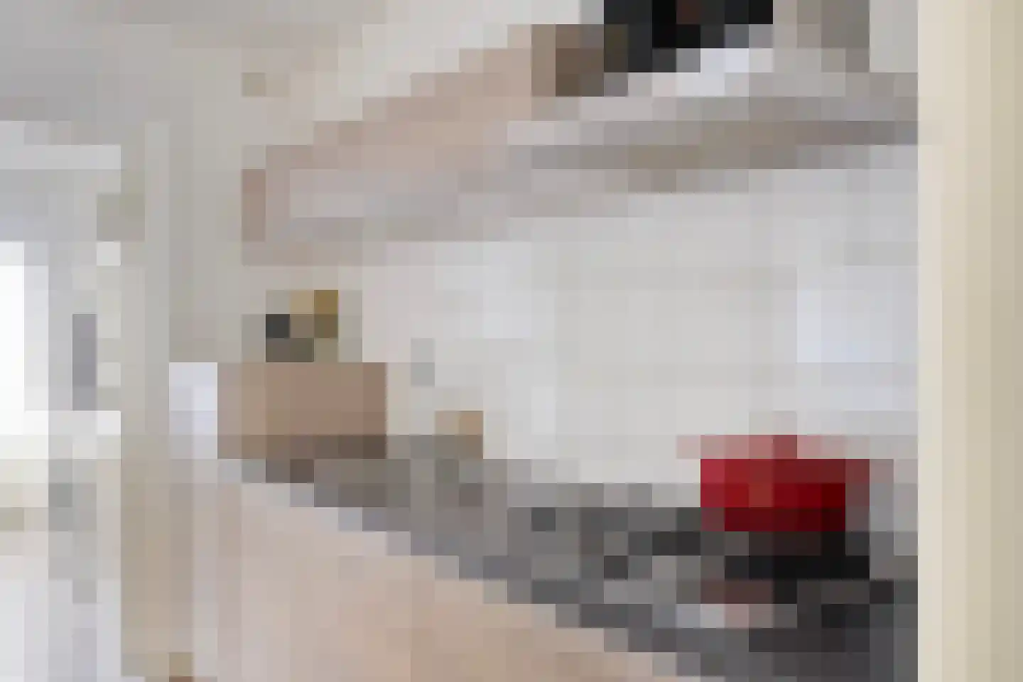 Beatrixstraat 19 Puth thumbnail 12