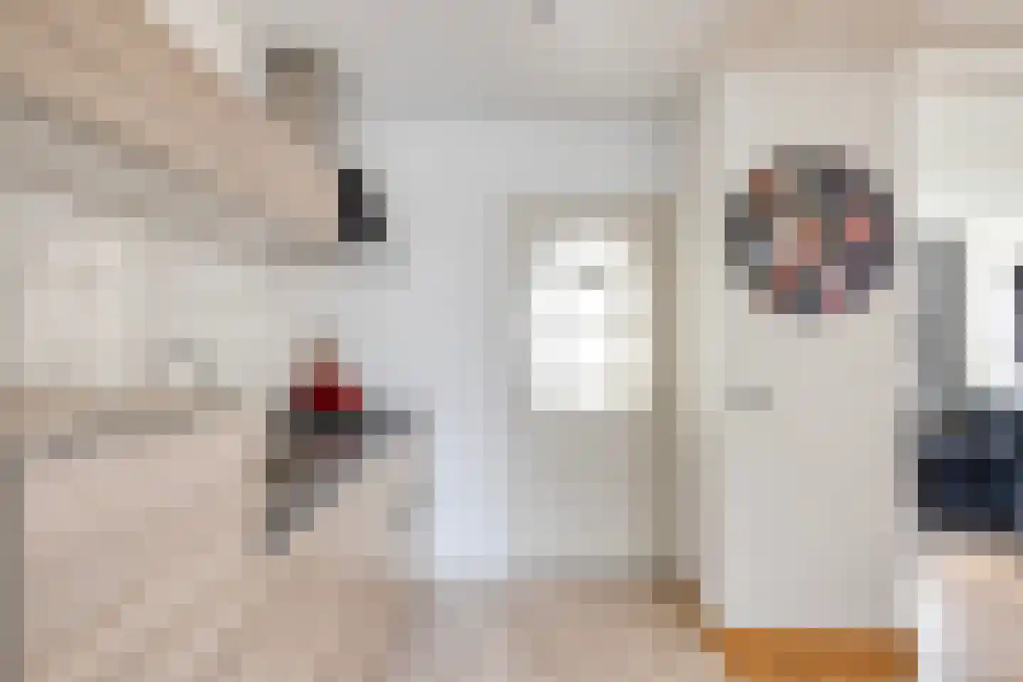 Beatrixstraat 19 Puth thumbnail 14