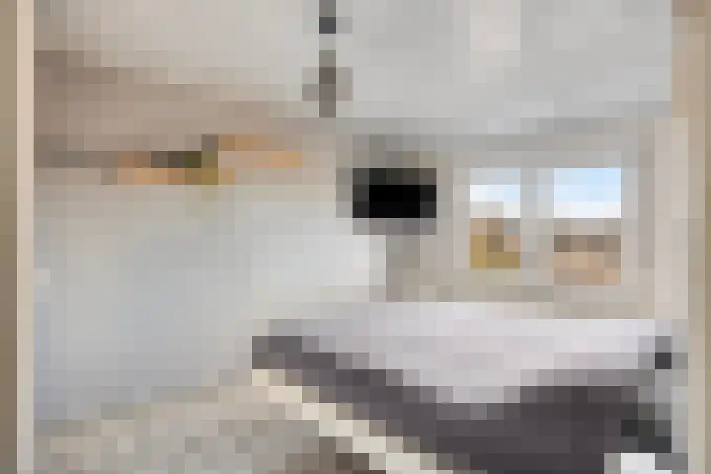Beatrixstraat 19 Puth thumbnail 17