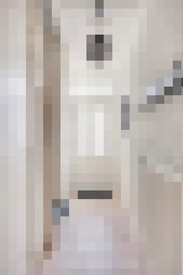 Beatrixstraat 19 Puth thumbnail 4