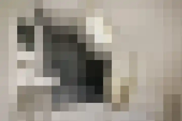 Beatrixstraat 2 C Zwaag thumbnail 21