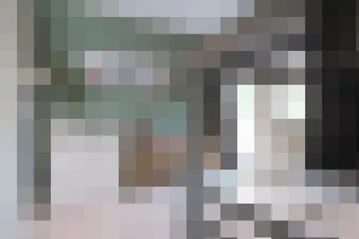 Beatrixstraat 2 de Lutte thumbnail 21
