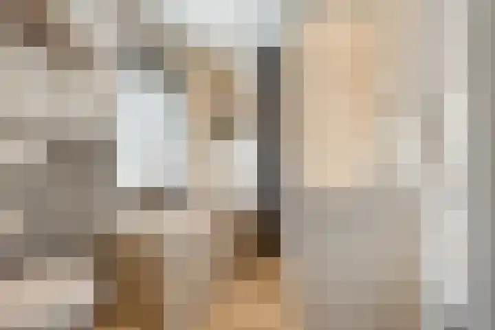 Beatrixstraat 2 de Lutte thumbnail 22