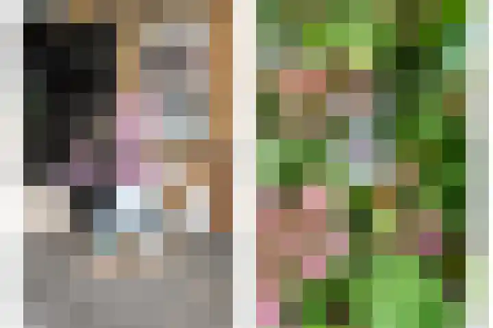 Beatrixstraat 2 de Lutte thumbnail 31