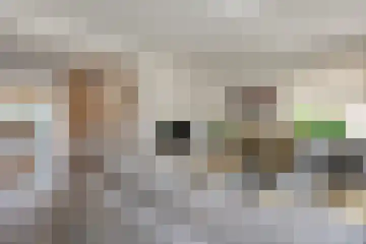 Beatrixstraat 2 de Lutte thumbnail 4
