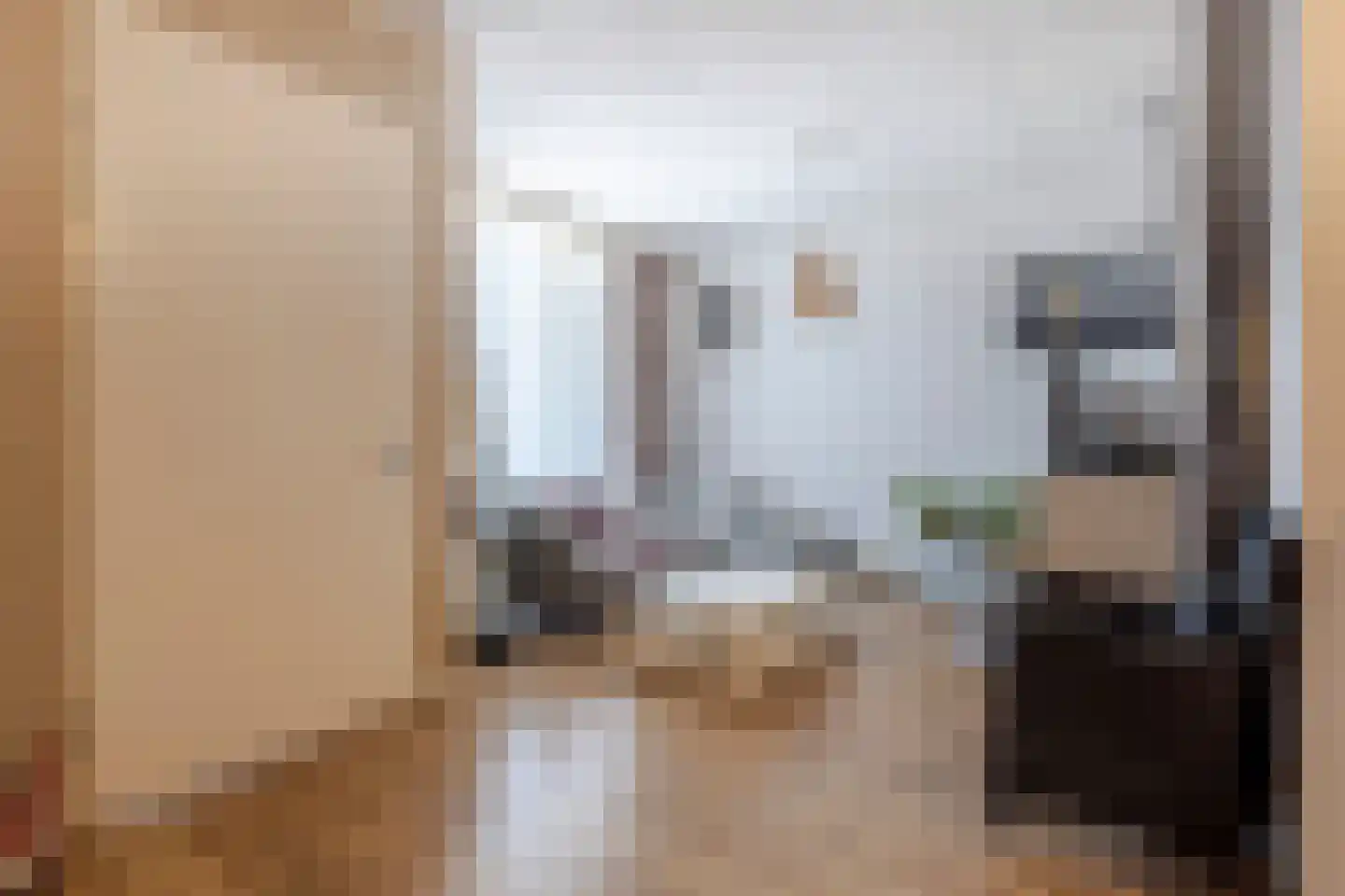 Beatrixstraat 2 k Groot-Ammers thumbnail 4