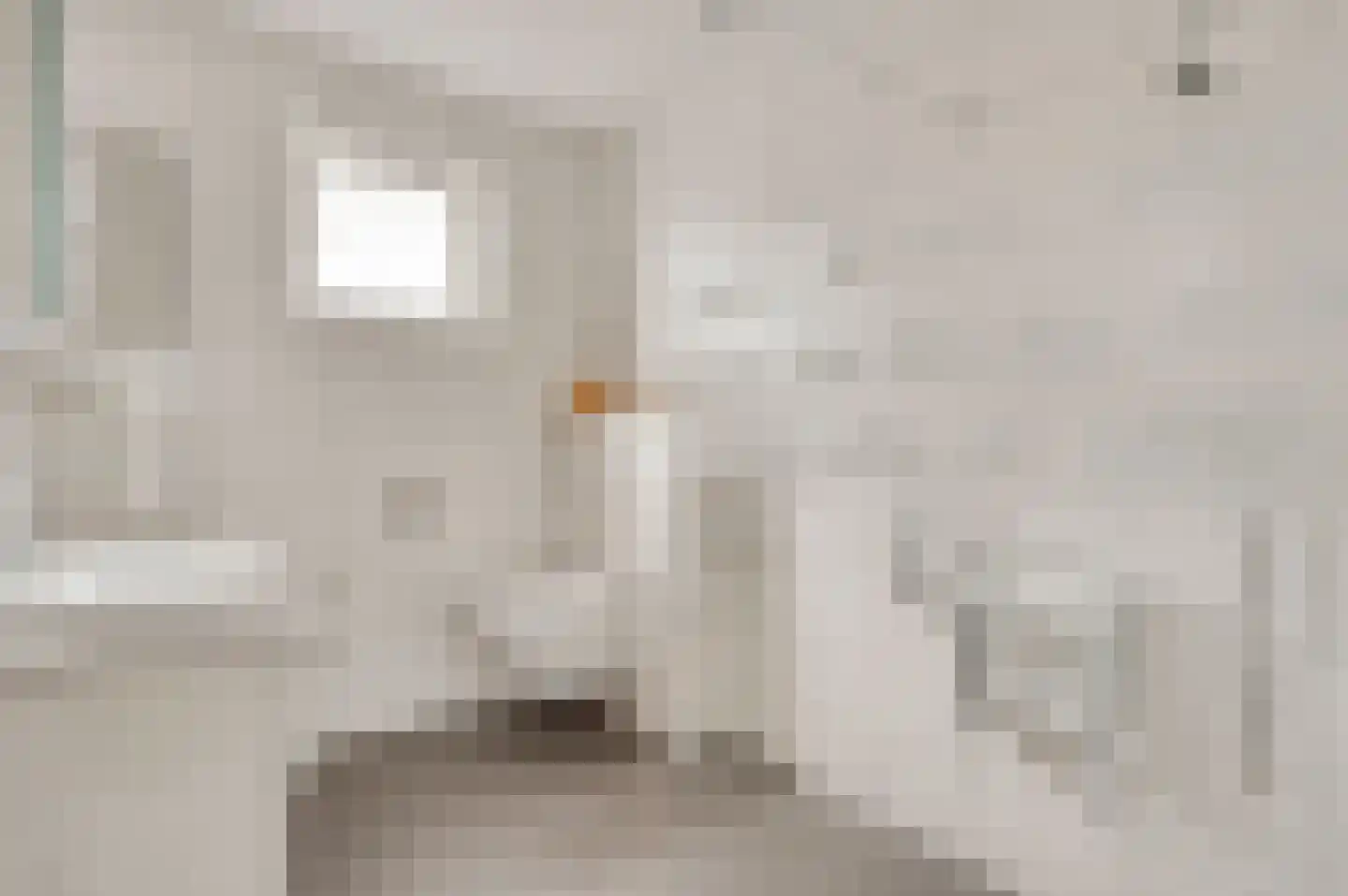 Beatrixstraat 2 Thorn thumbnail 20