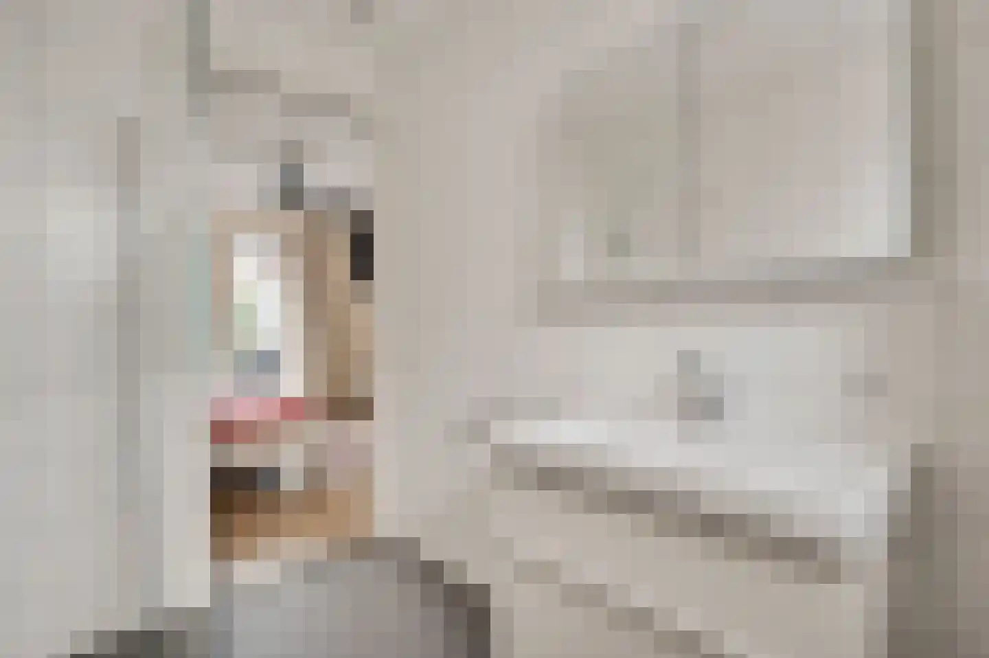 Beatrixstraat 2 Thorn thumbnail 21