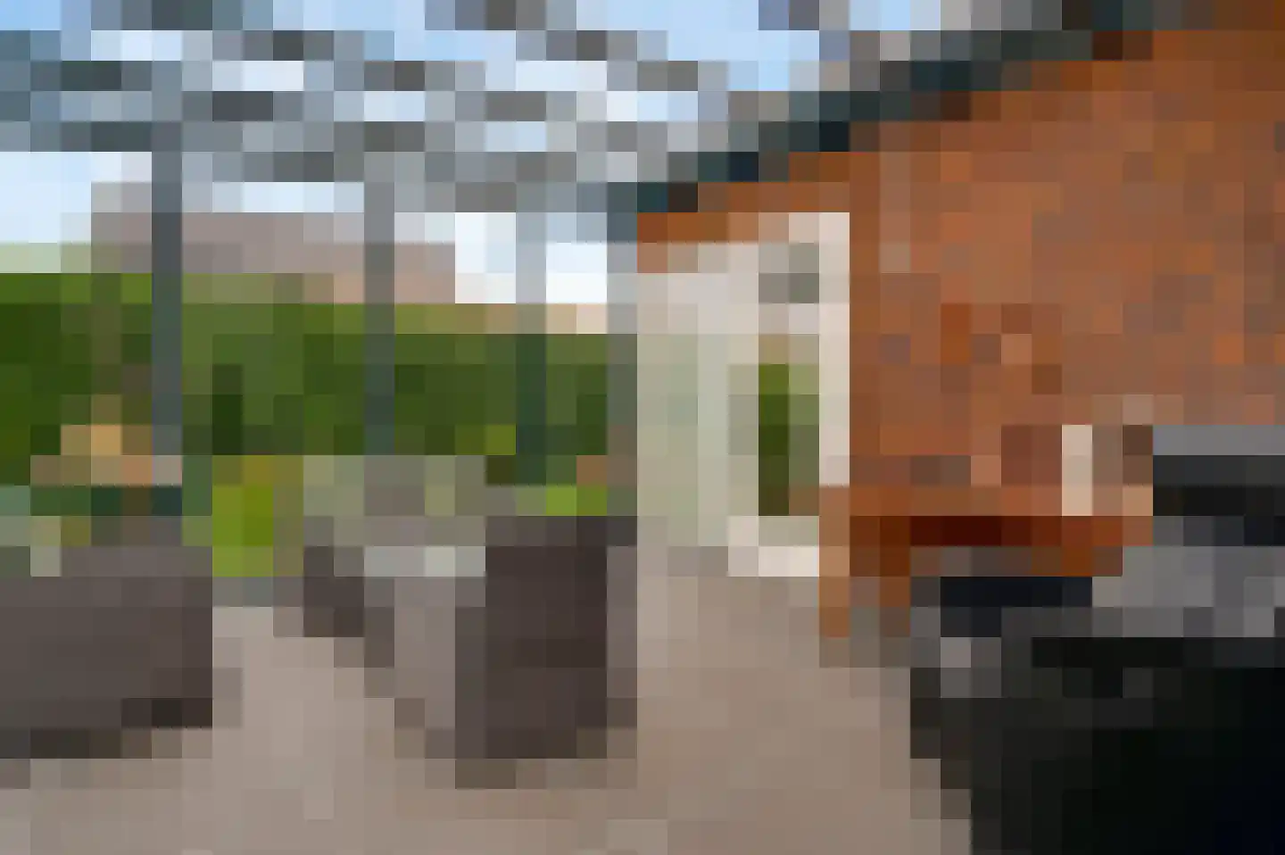Beatrixstraat 2 Thorn thumbnail 32