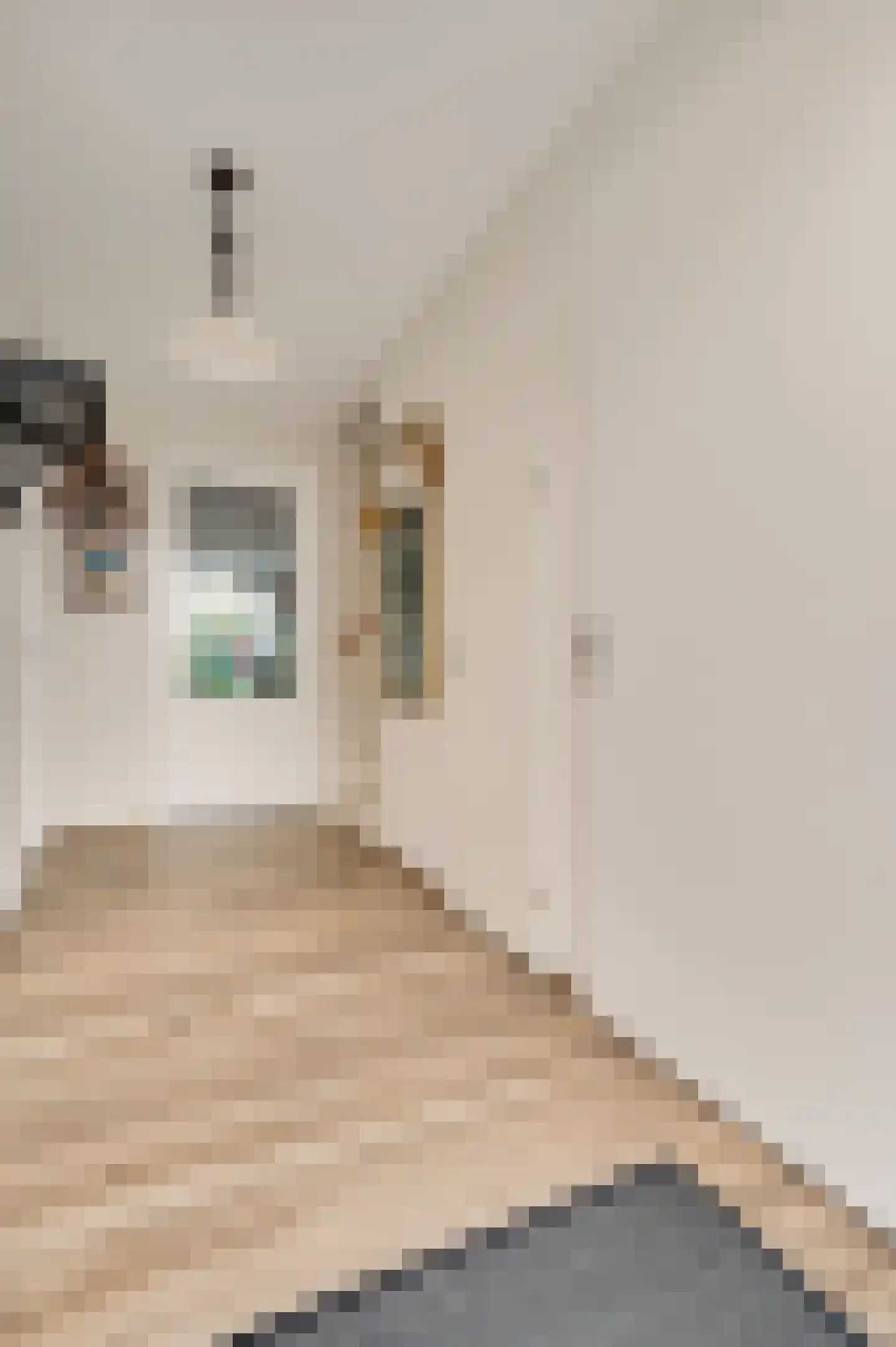 Beatrixstraat 2 Thorn thumbnail 7