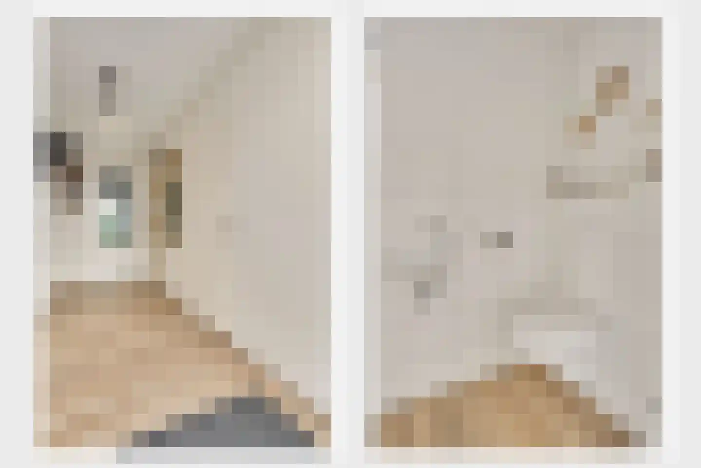 Beatrixstraat 2 Thorn thumbnail 8
