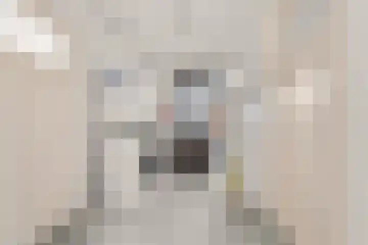 Beatrixstraat 20 Afferden L thumbnail 15