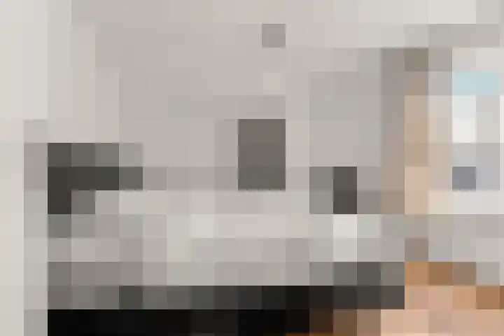 Beatrixstraat 20 Afferden L thumbnail 20