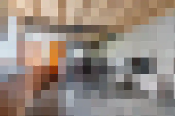 Beatrixstraat 20 Afferden L thumbnail 22