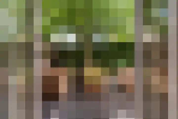 Beatrixstraat 20 Afferden L thumbnail 26