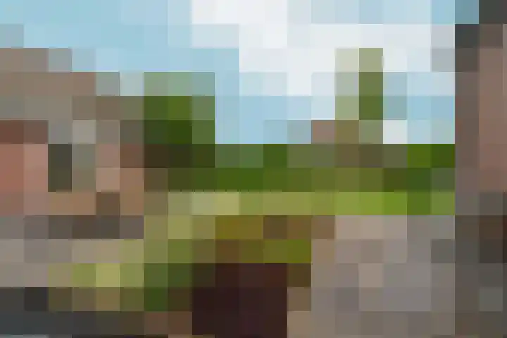 Beatrixstraat 20 Afferden L thumbnail 31