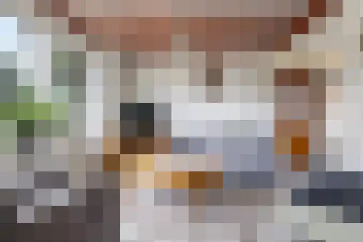Beatrixstraat 20 Andelst thumbnail 24