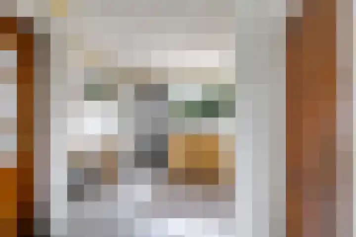 Beatrixstraat 20 Andelst thumbnail 26