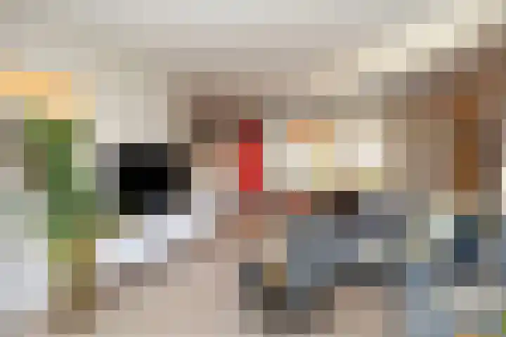 Beatrixstraat 20 Dalfsen thumbnail 10