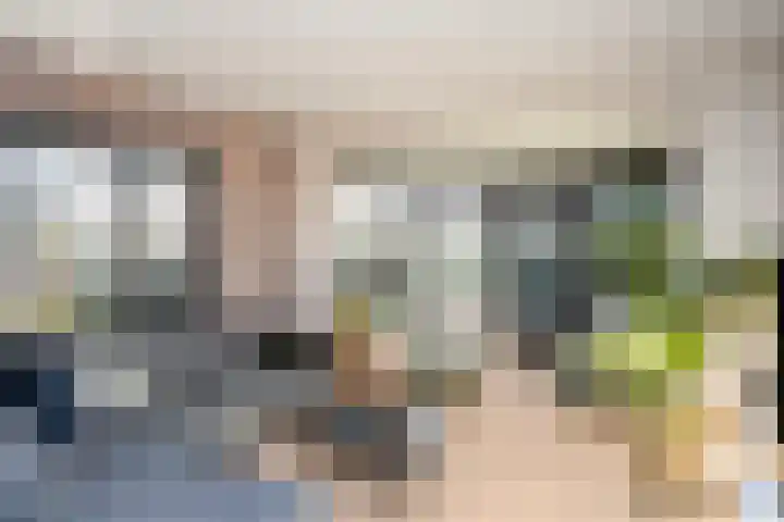 Beatrixstraat 20 Dalfsen thumbnail 11