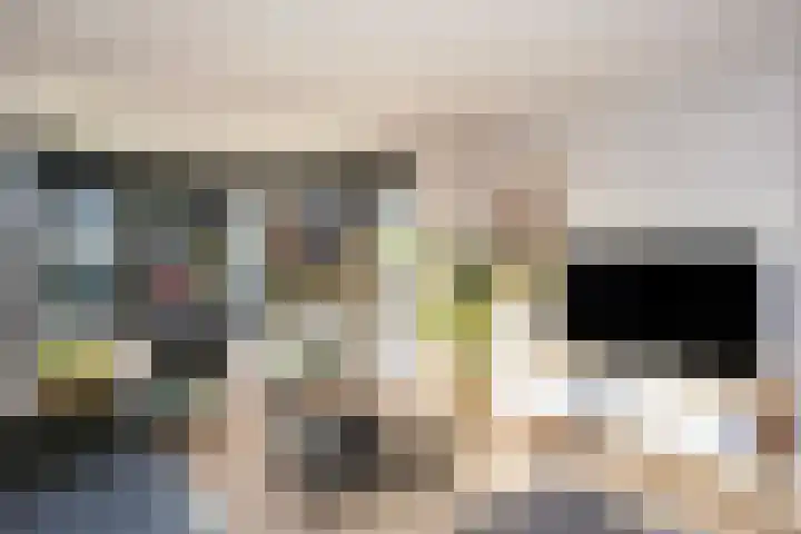 Beatrixstraat 20 Dalfsen thumbnail 12