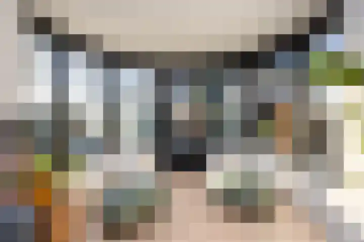 Beatrixstraat 20 Dalfsen thumbnail 13
