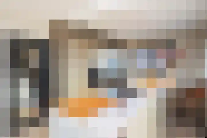 Beatrixstraat 20 Dalfsen thumbnail 18