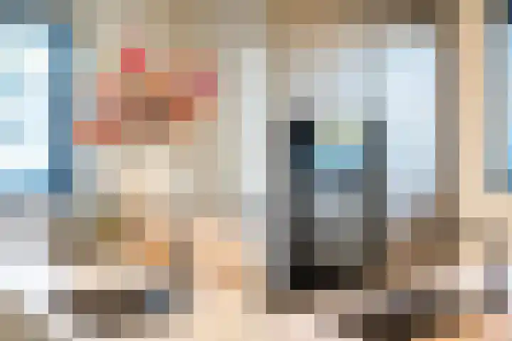 Beatrixstraat 20 Dalfsen thumbnail 20