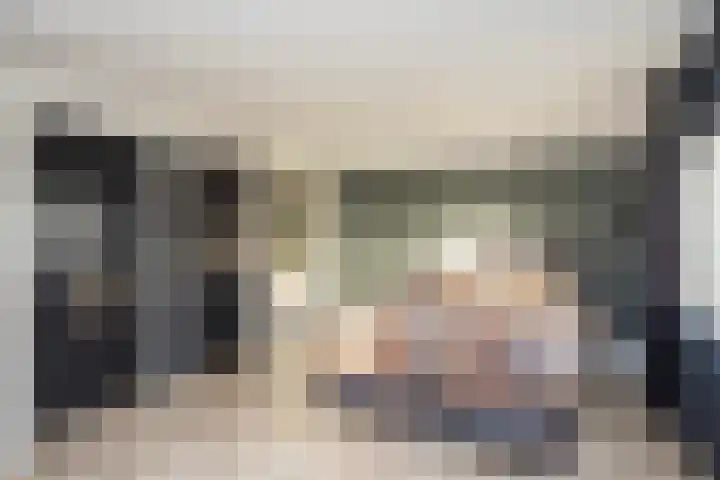 Beatrixstraat 20 Dalfsen thumbnail 22