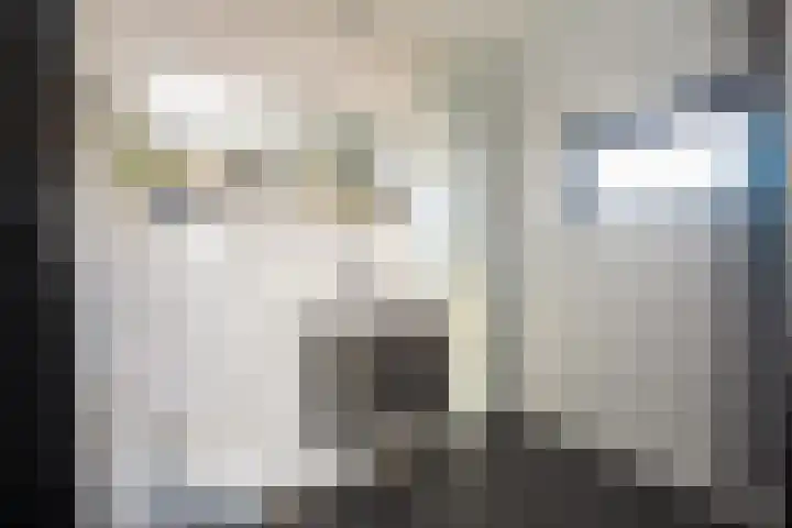 Beatrixstraat 20 Dalfsen thumbnail 29