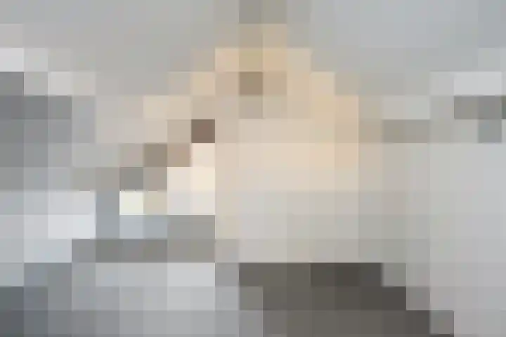 Beatrixstraat 20 Dalfsen thumbnail 31
