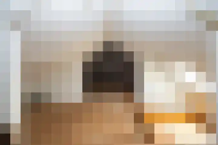 Beatrixstraat 20 Dalfsen thumbnail 32