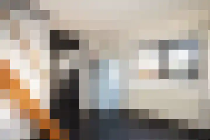 Beatrixstraat 20 Dalfsen thumbnail 34