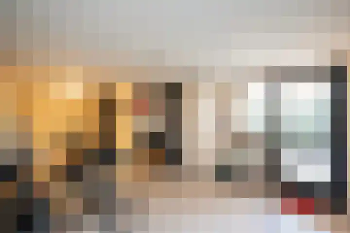 Beatrixstraat 20 Dalfsen thumbnail 35