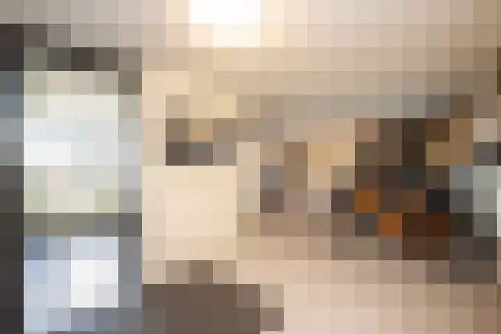 Beatrixstraat 20 Dalfsen thumbnail 36