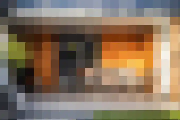 Beatrixstraat 20 Dalfsen thumbnail 37