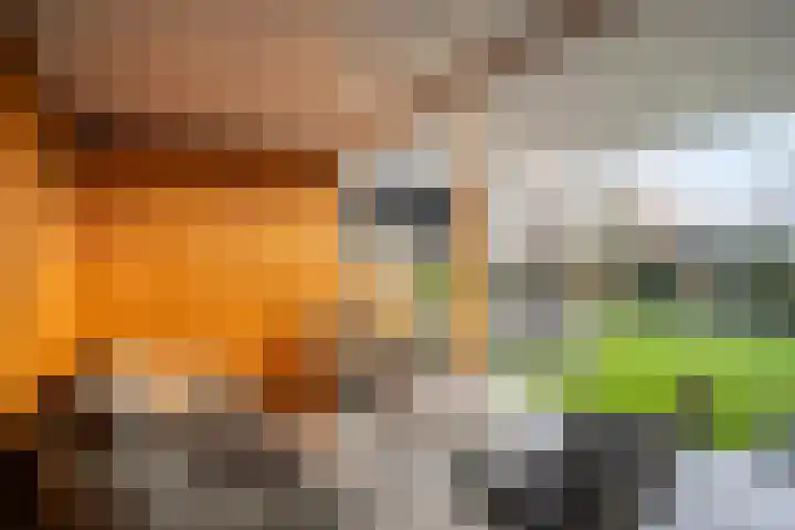 Beatrixstraat 20 Dalfsen thumbnail 38