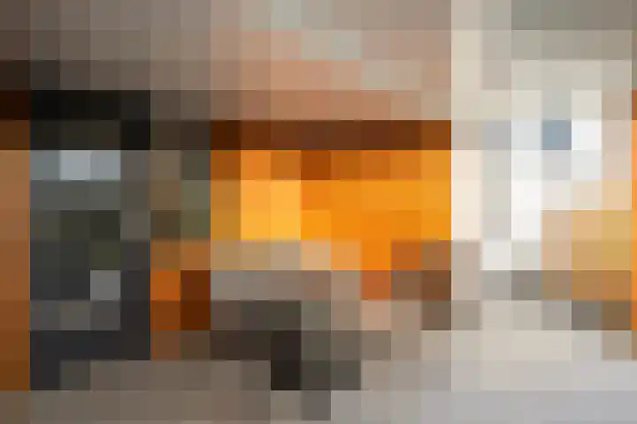Beatrixstraat 20 Dalfsen thumbnail 39