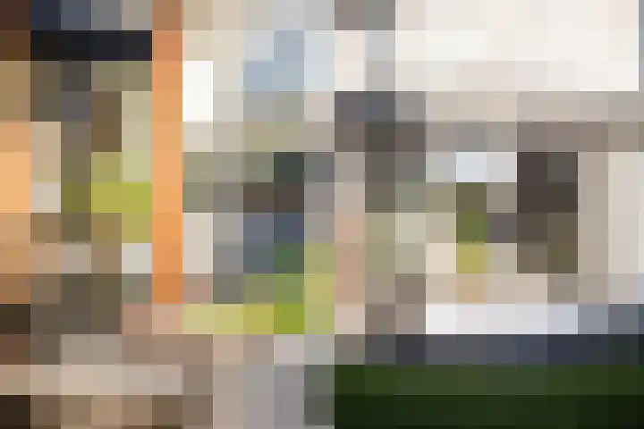 Beatrixstraat 20 Dalfsen thumbnail 42