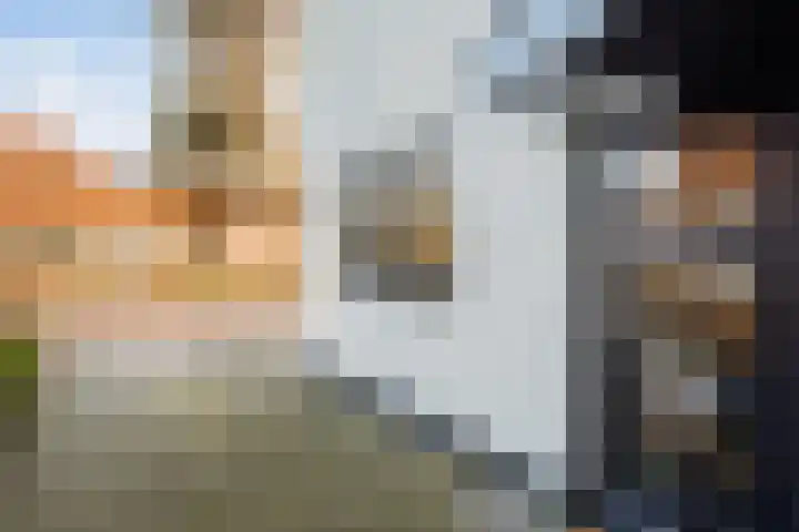 Beatrixstraat 20 Dalfsen thumbnail 7