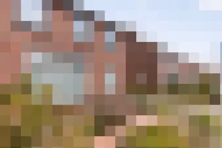 Beatrixstraat 20 Groenlo thumbnail 5