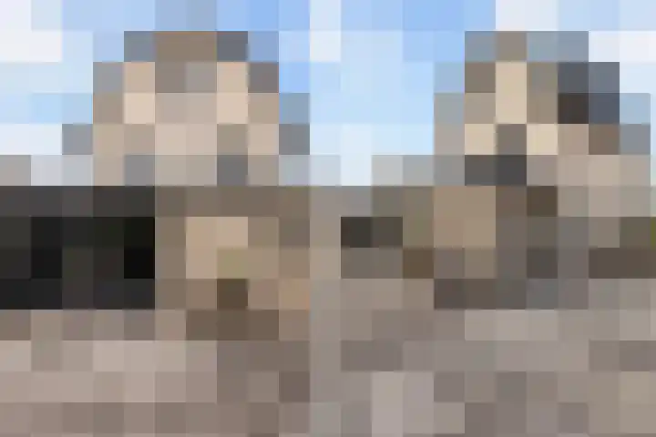 Beatrixstraat 20 Montfoort thumbnail 5