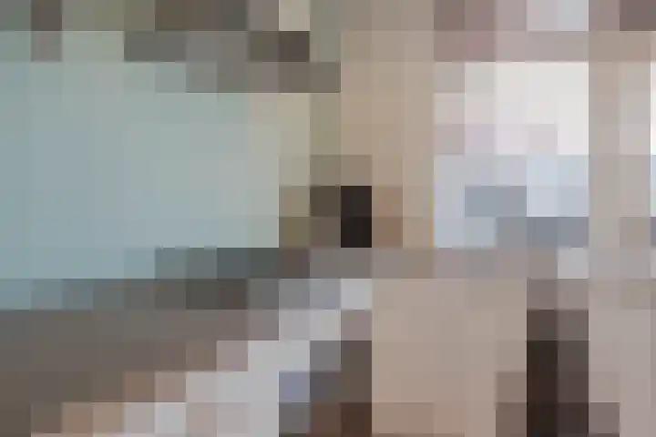 Beatrixstraat 21 Meerlo thumbnail 17