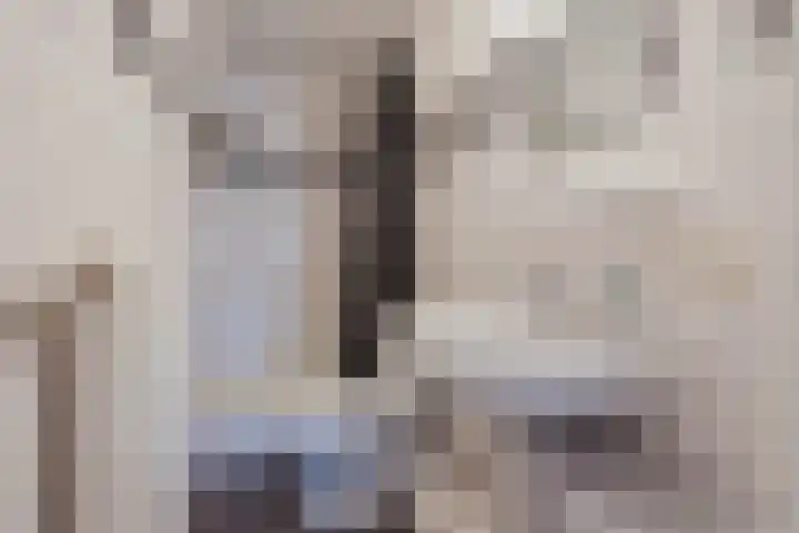 Beatrixstraat 21 Meerlo thumbnail 30