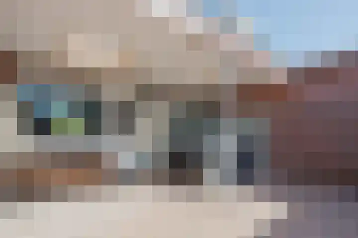 Beatrixstraat 21 Meerlo thumbnail 32