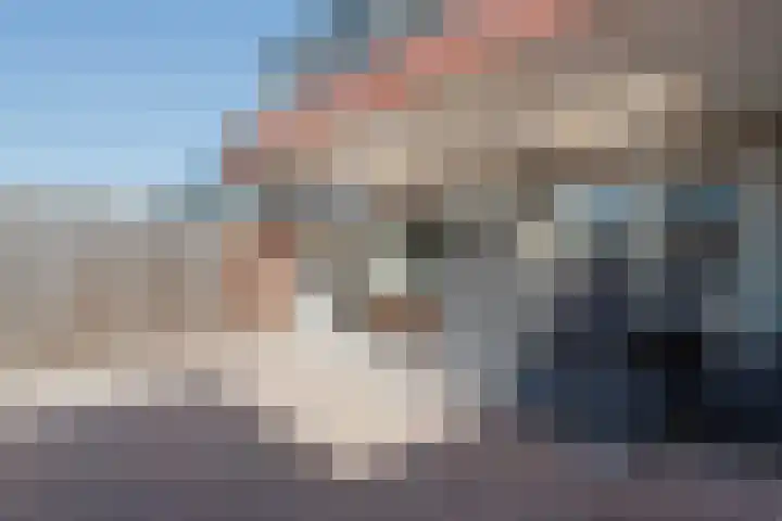 Beatrixstraat 21 Meerlo thumbnail 33